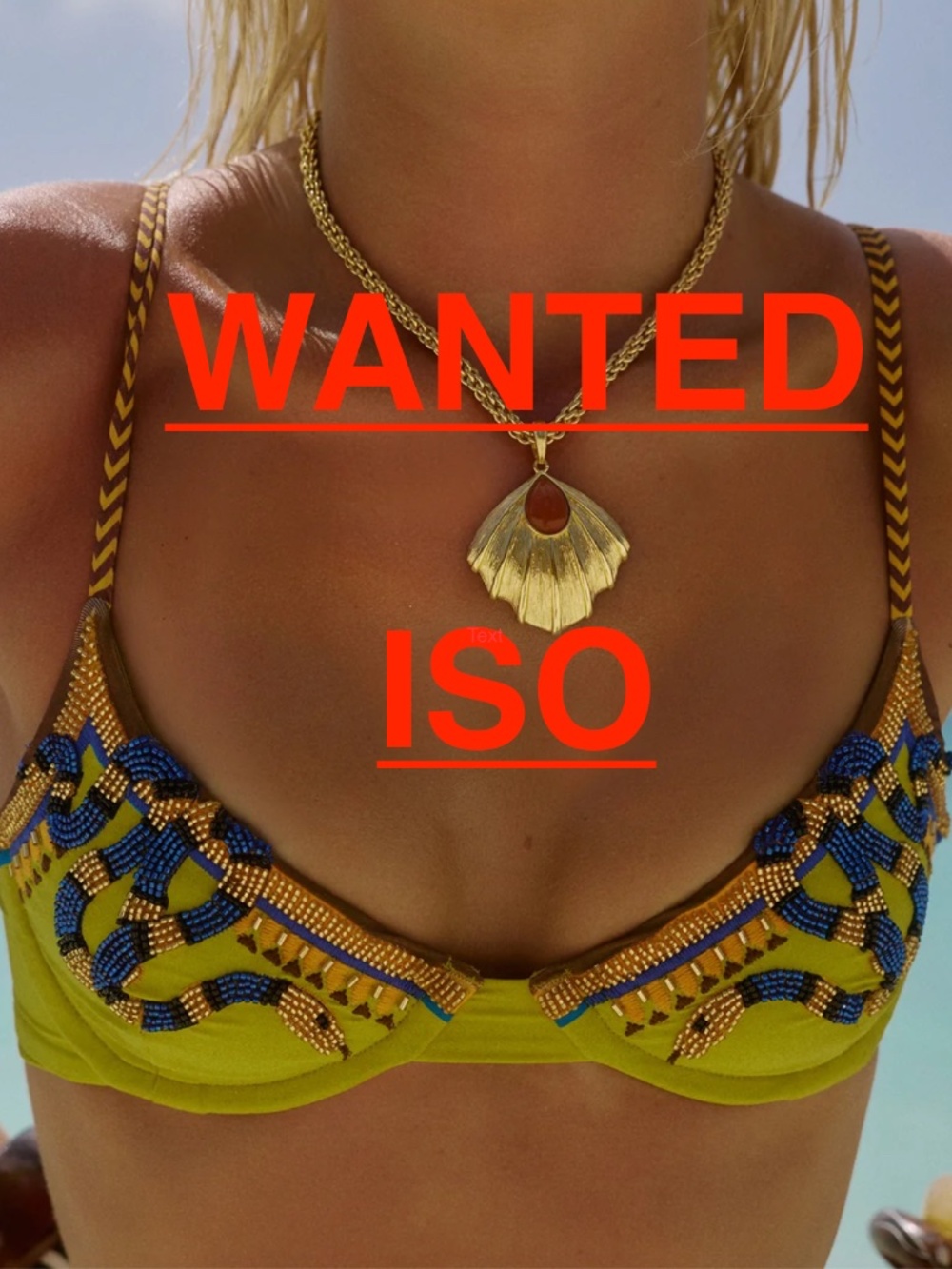 ISO: BYDEE LEFKADA BIKINI TOP IN ZAHANA